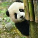 明亮