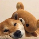 小祝小祝没点逼数