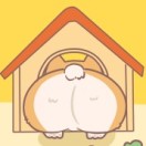 啥玩意