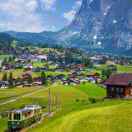 美好的未来加油