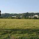 蓝翔技术有限公司