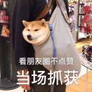 帅气机智