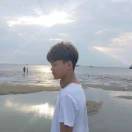 柠栀