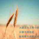徐梅