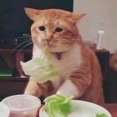 潘啊啊啊啊