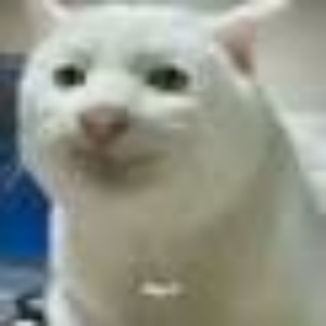 Meowth