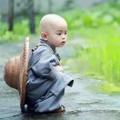 恐龙骑士