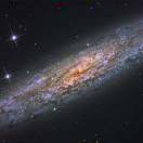 你猜我猜你猜我猜不猜