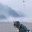墨殇