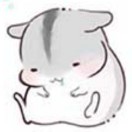 坐看繁花烬落丶