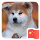 不忘初心灬go