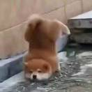 一七三