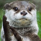 咖啡就是战斗力