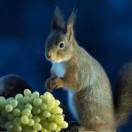 烟霞绸艺__A-时间煮雨