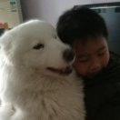 夕