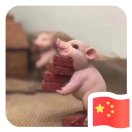 蜻