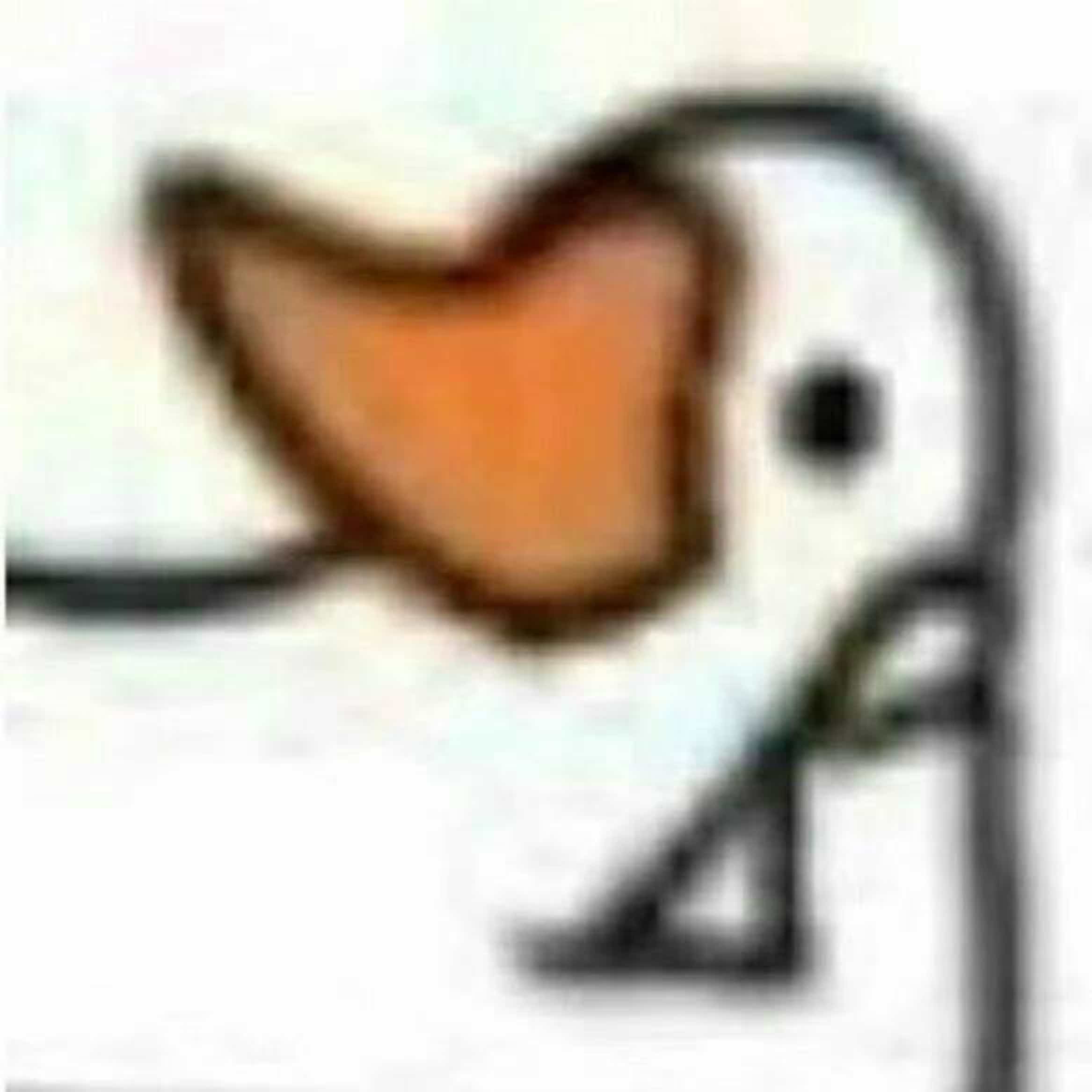 Ff