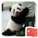 一窗星乱银河静