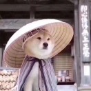 海风