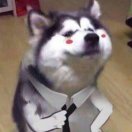 重生