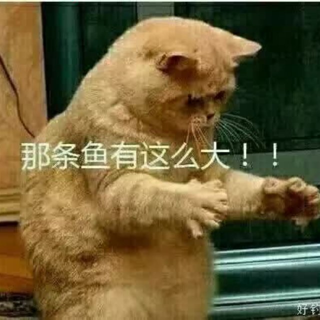 张树军