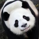 差不多先生