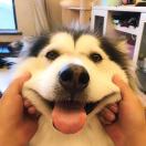 小红仔