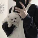 初起