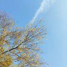 鱼鱼鱼鱼鱼鱼鱼鱼鱼鱼鱼鱼鱼鱼鱼鱼