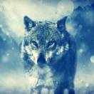 所有的遇见，都是一种偿还