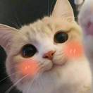 梁家钰