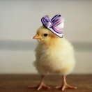 一杯浊酒笑风尘