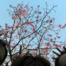 心想宇宙那么宽广