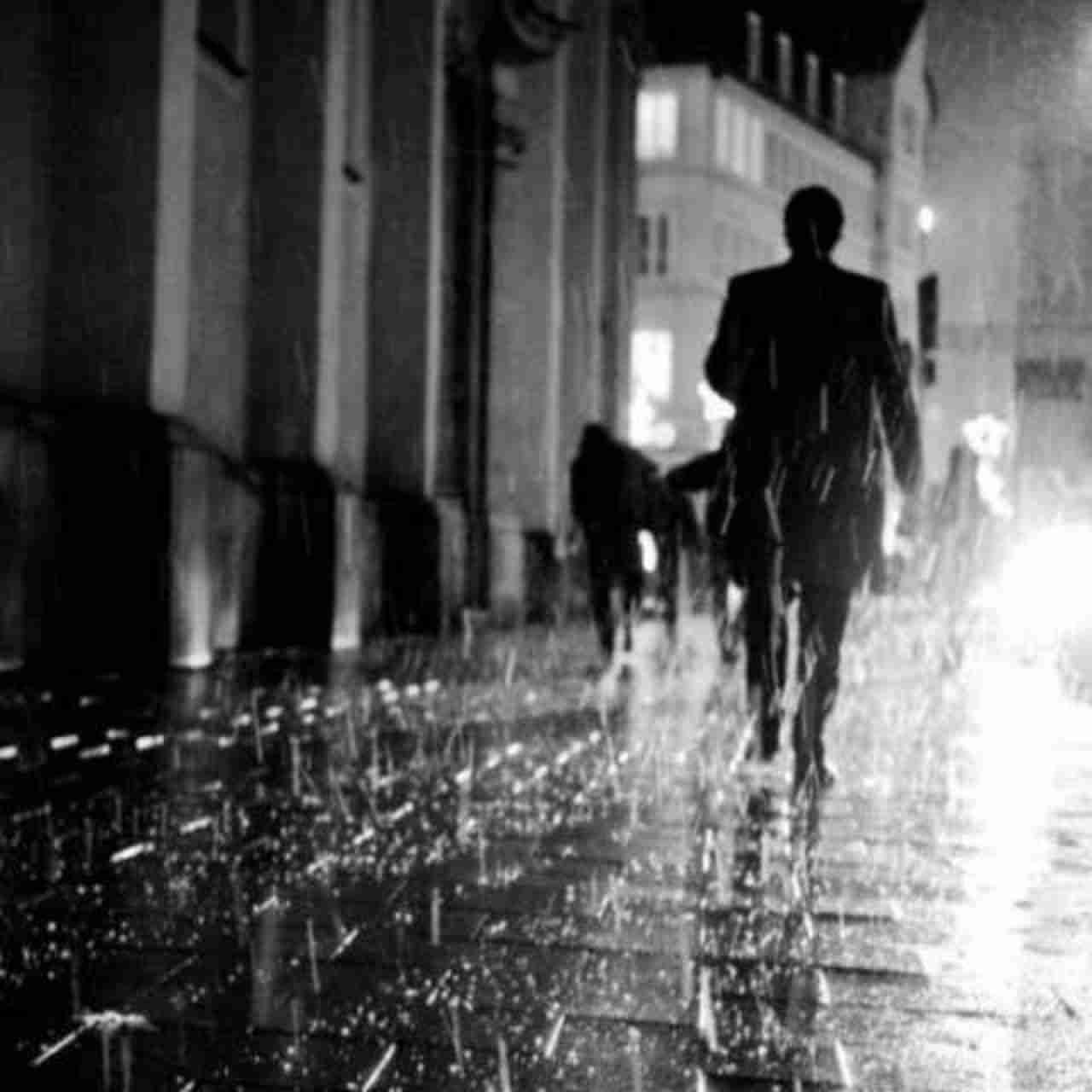 雨林