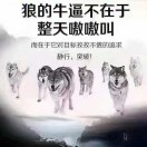 朱少