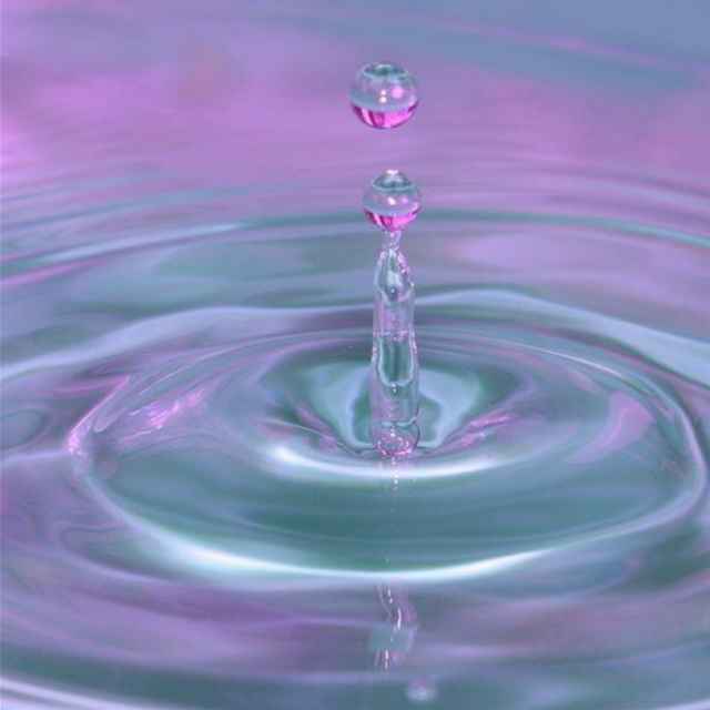 骑着蜗牛、游遍世界