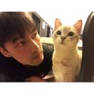 究极风暴霸王雷霆混沌战斗螺旋升天小鸟兽