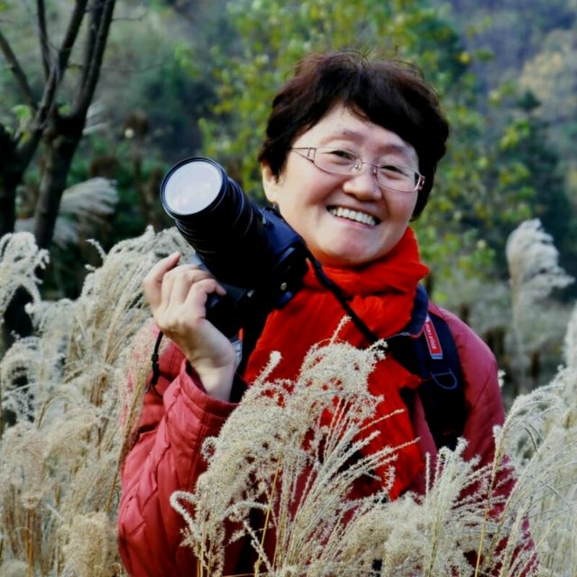 小琳