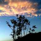 老子讲道德，孙子论兵法