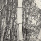 山人