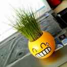 eant