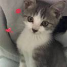 那些年℡后悔无期