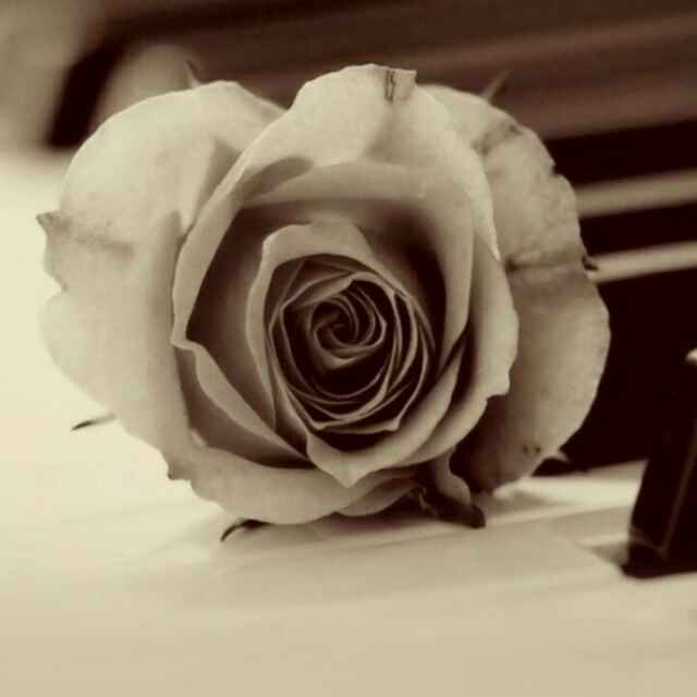 正在输入. . . . . .