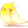 张毅
