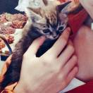 为你而笑，百度搜不到