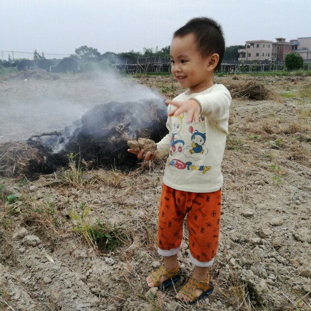 网管郑德生