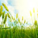 卓越广告印刷赵15251186630