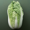 白菜大侠