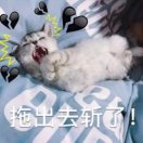 無忧