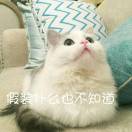 西瓜汁